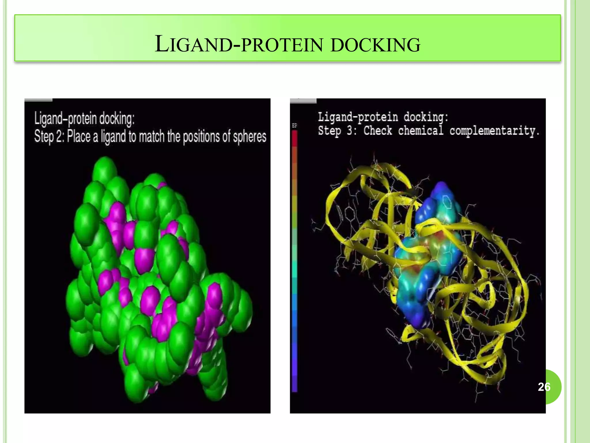 LIGAND-PROTEIN DOCKING
26
 