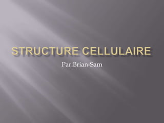 Structure Cellulaire Par:Brian-Sam 