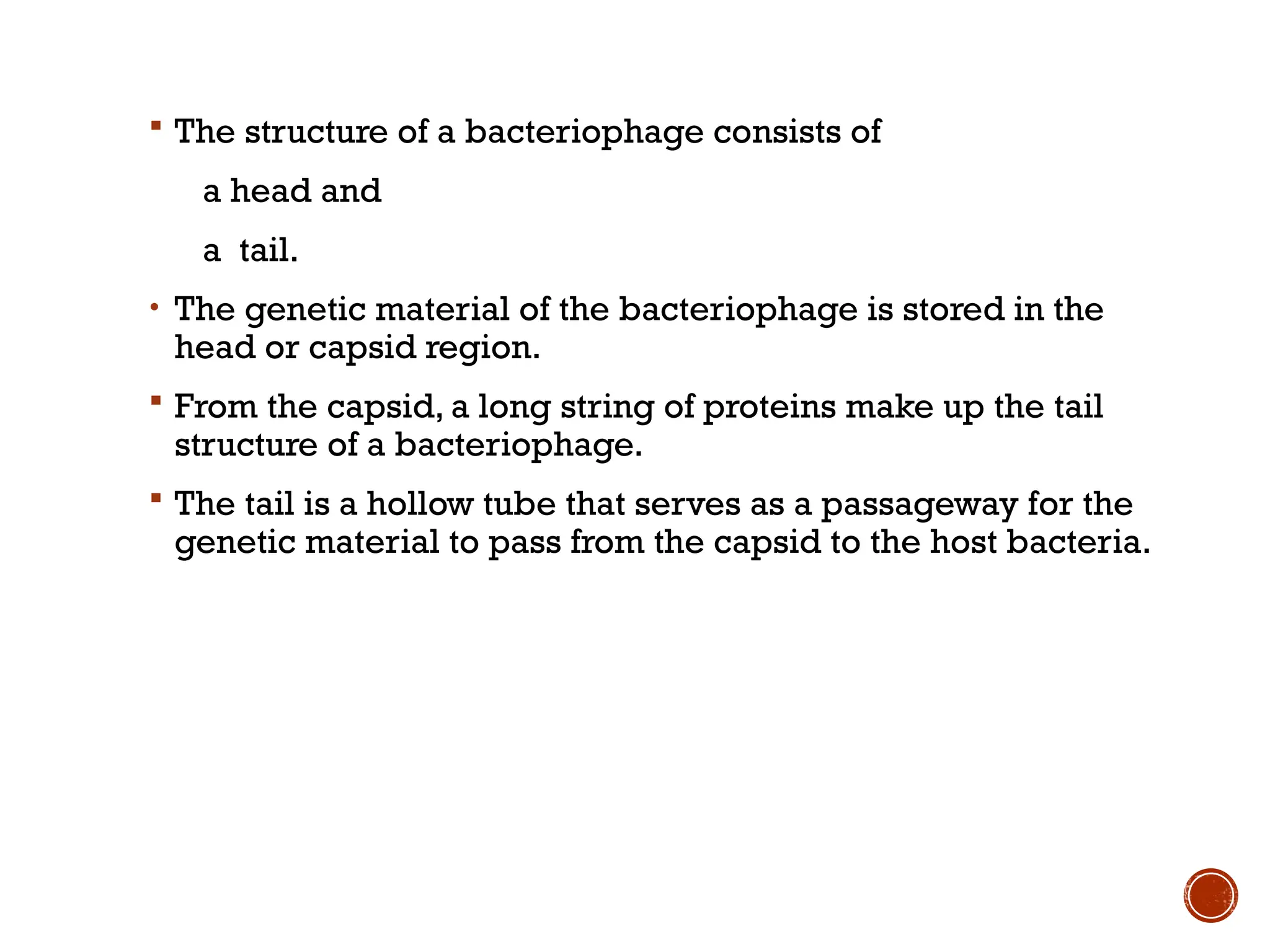 String Like Phage structure & classification of virus copy.pptx
