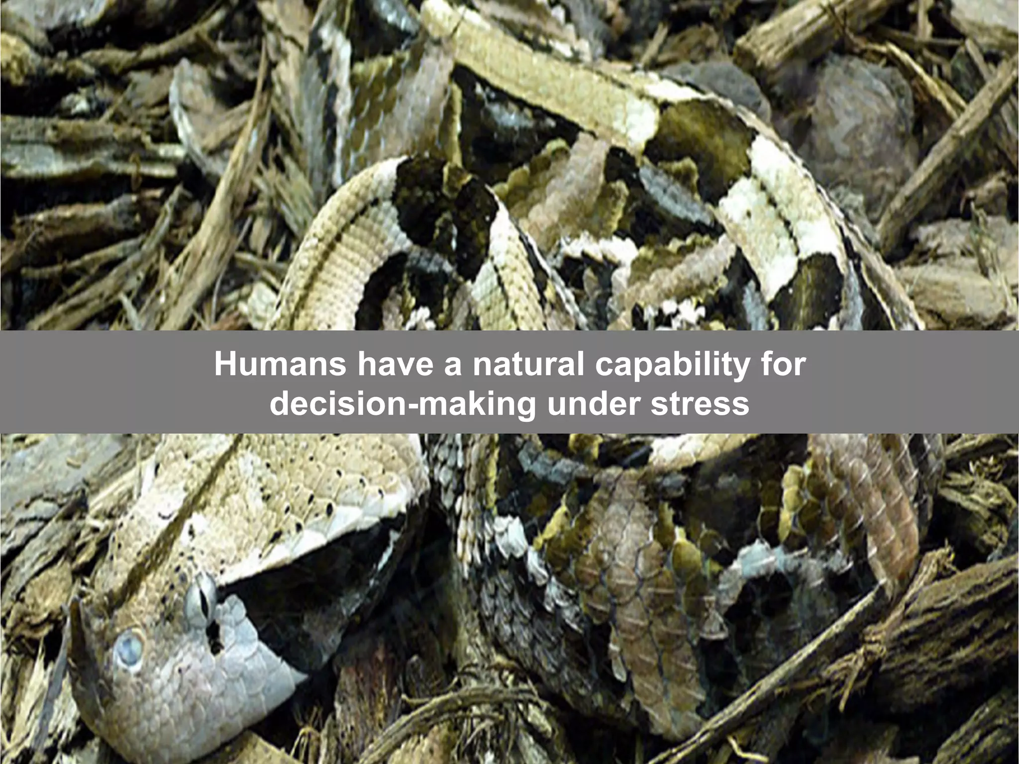 Humans have a natural capability for
decision-making under stress
 