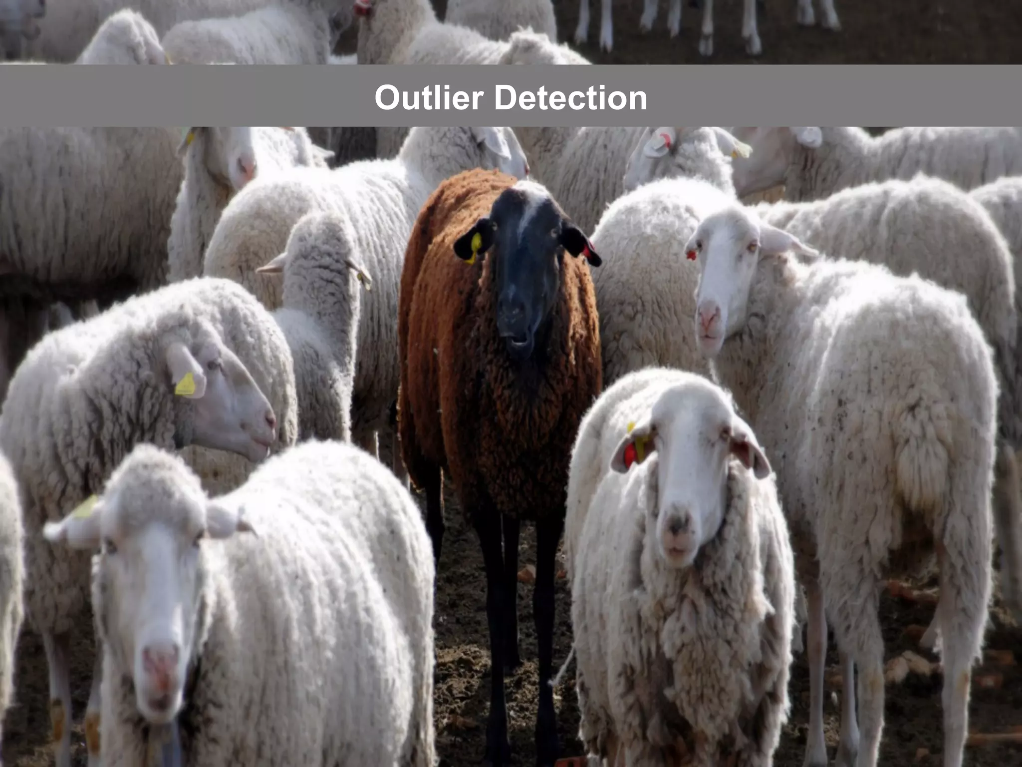 Outlier Detection
 