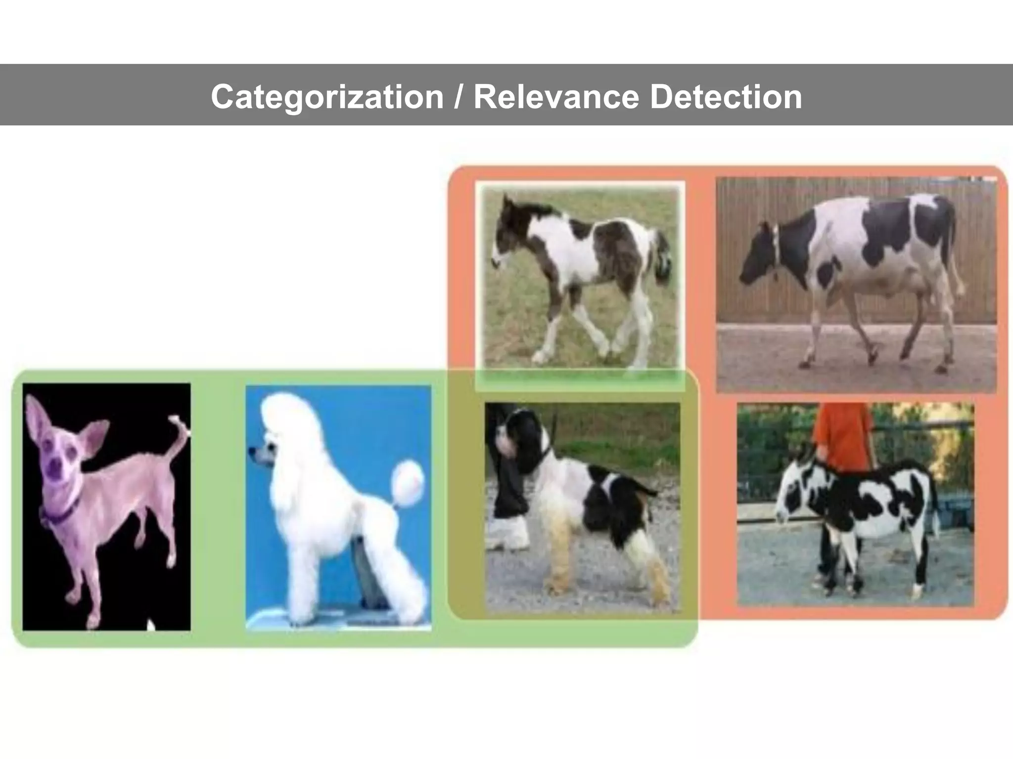 Categorization / Relevance Detection
 