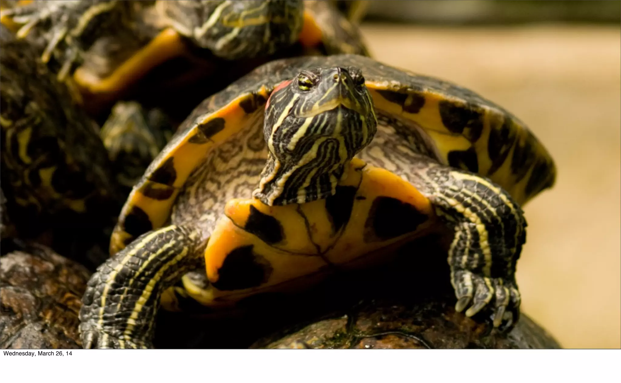 Wednesday, March 26, 14
 