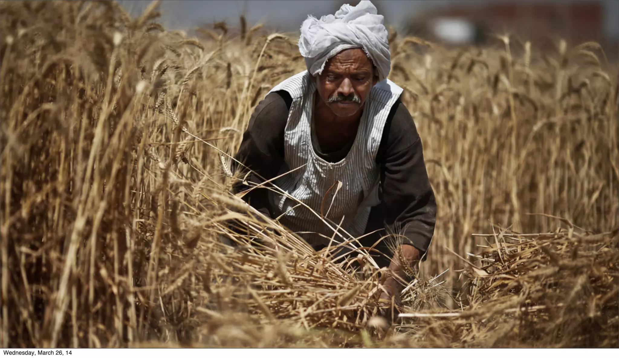 Wednesday, March 26, 14
 