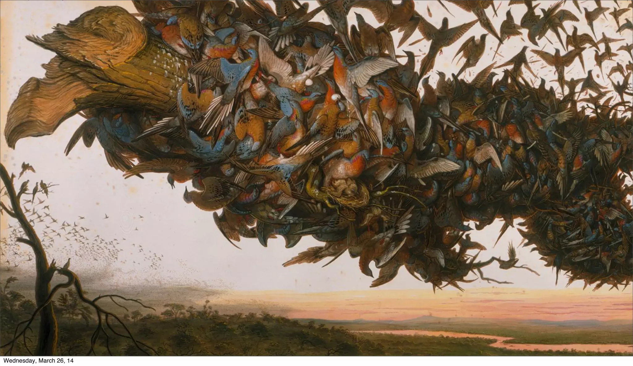 Wednesday, March 26, 14
 