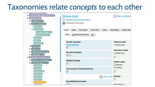 Taxonomies relate concepts to each other
 