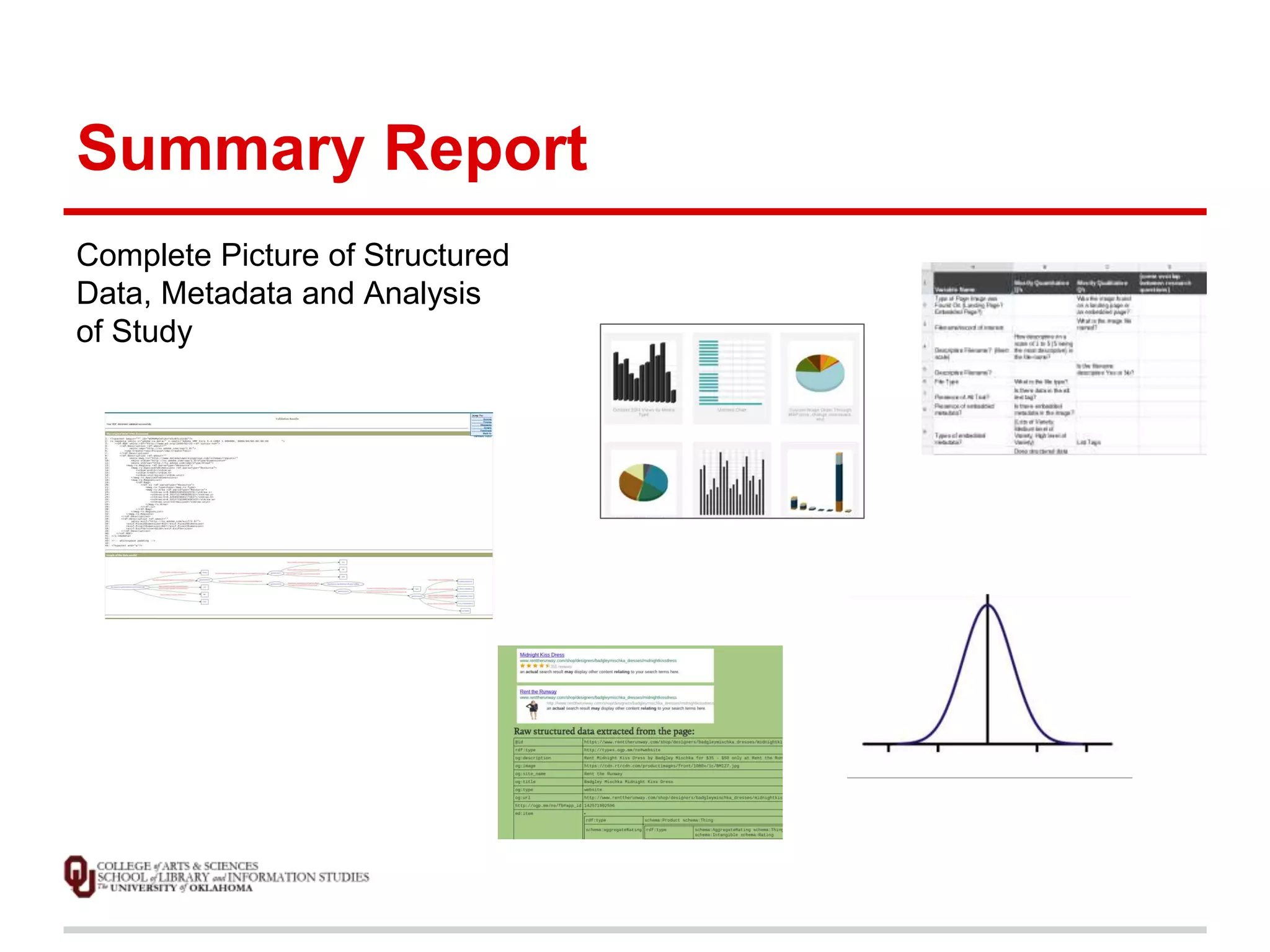Summary Report 
Complete Picture of Structured 
Data, Metadata and Analysis 
of Study 
 