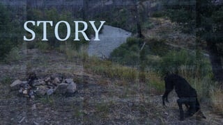 STORY
 
