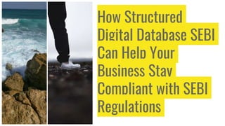 How Structured
Digital Database SEBI
Can Help Your
Business Stay
Compliant with SEBI
Regulations
 