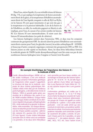Dans l’eau, même liquide, il y a un véritable réseau de liaisons
O
H (ﬁg. 7.9), ce qui explique la température de fusion anormaleH
H
ment élevée de la glace, et la température d’ébullition anormaleO
ment élevée de l’eau liquide comparée à celle de H2 S ou H2 Se,
H
H
où les liaisons H sont quasi inexistantes et qui sont des gaz à
O
O
la température et à la pression habituelles. Lors de la fusion ou
H
H
H
H
de l’ébullition, en effet, les molécules gagnent en liberté et cela
implique, pour l’eau, la cassure d’un certain nombre de liaisons Fig. 7.9. Les liaisons H
dans l’eau.
H. Ces liaisons H sont intermoléculaires. Il existe aussi des
liaisons H intramoléculaires (on parle de chélation).
Les liaisons hydrogène existent dans l’ammoniac NH3 et dans tous les composés
contenant des groupements OH : les alcools (dont les points d’ébullitions sont anormalement élevés comme pour l’eau), les glucides (sucres), les acides carboxyliques R−COOH,
et beaucoup d’autres composés organiques contenant des groupements OH ou NH. Ces
liaisons jouent un rôle capital en biochimie. Ainsi, les deux brins hélicoïdaux formant
la molécule géante de l’ADN (acide désoxyribonucléique) sont liés entre eux par de très
nombreuses liaisons hydrogène (avec l’oxygène et l’azote) (voir Encadré).

Recherche

& Développement

218

Un exemple biochimique de l’importance des liaisons H :
la molécule d’ADN
L’acide désoxyribonucléique (ADN) est un
des acides nucléiques. C’est une molécule
géante qui conserve l’information génétique
de l’organisme entier auquel il appartient.
La structure de base de la molécule, composée de deux chaînes polymériques hélicoïdales reliées entre elles par de nombreux
ponts hydrogène, a été déterminée (Crick et
Watson, 1953) en grande partie grâce aux
résultats de la diffraction des rayons X sur
de l’ADN cristallisé (Wilkins). Chaque hélice
est une longue chaîne constituée d’une alternance régulière de groupes orthophosphates
PO− et de molécules d’un glucide, le désoxy4
ribose, reliés ensembles. Sur chaque désoxyribose est attachée par des liaisons covalentes
une des 4 bases azotées suivantes : adénine
(A), cytosine (C), guanine (G), et thymine
(T) (voir ﬁgures). L’autre chaîne hélicoïdale
(enroulée dans le même sens) est semblable
à la première, et les deux brins hélicoïdaux

sont accrochés par leurs bases azotées, cet
accrochage se faisant par des liaisons hydrogène N−H · · · O et N · · · H−N, de telle façon
qu’une adénine d’une hélice soit toujours
liée à une thymine de l’autre hélice (A−T),
et une cytosine toujours liée à une guanine
(C−G).
L’information génétique est codée par la
séquence de bases A, C, G ou T le long
d’une chaîne (la séquence associée de l’autre
chaîne étant alors forcément déterminée).
Un groupe de 3 bases est appelé un codon
et constitue le « patron » d’un acide aminé
particulier : c’est cet acide aminé qui sera
construit et inséré dans une protéine synthétisée dans la cellule. Il se trouve que toutes les
protéines naturelles sont construites à partir
de seulement 20 acides a-aminés. En prenant 3 bases parmi les 4 possibles, on peut
construire 43 5 64 codons distincts : AAA,
AAC, ACG, TCT, etc. Sous l’action d’une

 