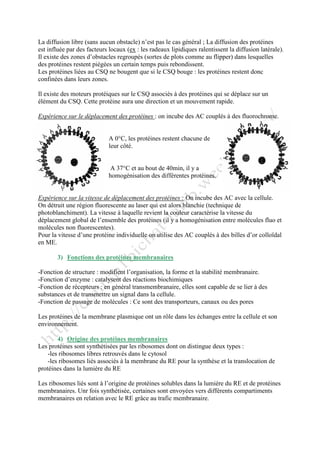 La diffusion libre (sans aucun obstacle) n’est pas le cas général ; La diffusion des protéines
est influée par des facteurs locaux (ex : les radeaux lipidiques ralentissent la diffusion latérale).
Il existe des zones d’obstacles regroupés (sortes de plots comme au flipper) dans lesquelles
des protéines restent piégées un certain temps puis rebondissent.
Les protéines liées au CSQ ne bougent que si le CSQ bouge : les protéines restent donc
confinées dans leurs zones.
Il existe des moteurs protéiques sur le CSQ associés à des protéines qui se déplace sur un
élément du CSQ. Cette protéine aura une direction et un mouvement rapide.
Expérience sur le déplacement des protéines : on incube des AC couplés à des fluorochrome.
A 0°C, les protéines restent chacune de
leur côté.
A 37°C et au bout de 40min, il y a
homogénisation des différentes protéines.
Expérience sur la vitesse de déplacement des protéines : On incube des AC avec la cellule.
On détruit une région fluorescente au laser qui est alors blanchie (technique de
photoblanchiment). La vitesse à laquelle revient la couleur caractérise la vitesse du
déplacement global de l’ensemble des protéines (il y a homogénisation entre molécules fluo et
molécules non fluorescentes).
Pour la vitesse d’une protéine individuelle on utilise des AC couplés à des billes d’or colloïdal
en ME.
3) Fonctions des protéines membranaires
-Fonction de structure : modifient l’organisation, la forme et la stabilité membranaire.
-Fonction d’enzyme : catalysent des réactions biochimiques
-Fonction de récepteurs : en général transmembranaire, elles sont capable de se lier à des
substances et de transmettre un signal dans la cellule.
-Fonction de passage de molécules : Ce sont des transporteurs, canaux ou des pores
Les protéines de la membrane plasmique ont un rôle dans les échanges entre la cellule et son
environnement.
4) Origine des protéines membranaires
Les protéines sont synthétisées par les ribosomes dont on distingue deux types :
-les ribosomes libres retrouvés dans le cytosol
-les ribosomes liés associés à la membrane du RE pour la synthèse et la translocation de
protéines dans la lumière du RE
Les ribosomes liés sont à l’origine de protéines solubles dans la lumière du RE et de protéines
membranaires. Unr fois synthétisée, certaines sont envoyées vers différents compartiments
membranaires en relation avec le RE grâce au trafic membranaire.
 