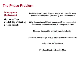 The Phase Problem Isomorphous Replacement (In case of Non availability of starting protein model) Introduce one or more heavy atoms into specific sites within the cell without perturbing the crystal lattice Why Heavy atoms? Electron dense. Gives measurable differences in the intensities of the spots in XRD Measure these differences for each reflection Estimate phase angle using vector summation methods Using Fourier Transform Produce Electron Density Map 