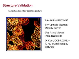 Structure Validation Ramachandran Plot: Separate Lecture Electron Density Map Try Uppsala Electron Density Server Use Astex Viewer  (Java Required) O, Coot, CCP4, XOR = X-ray crystallography software 