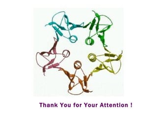 Thank You for Your Attention ! 