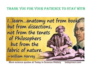 Thank you for your patience to stay with
 