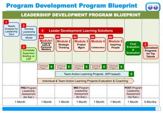 Developing Leaders Through a Structured Leadership Development Program ...