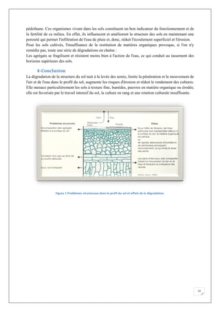 pédofaune. Ces organismes vivant dans les sols constituent un bon
la fertilité de ce milieu. En effet, ils influencent et améliorent la structure des sols
porosité qui permet l'infiltration de
Pour les sols cultivés, l'insuffisance de la restitution de matières organiques provoque, si l'on n'y
remédie pas, toute une série de dégradations en chaîne
Les agrégats se fragilisent et résistent moins bien à l'action de l'eau, ce qui conduit au tassement des
horizons supérieurs des sols.
4-Conclusion
La dégradation de la structure du sol nuit à la levée des semis, limite la pénétration et le mouvement de
l'air et de l'eau dans le profil du sol, augmente les risques d'érosion et réduit le rendement des cultures.
Elle menace particulièrement les sols à texture fine, humides,
elle est favorisée par le travail intensif du
Figure 1 Problèmes structuraux dans le profil du sol et effets de la dégradation
pédofaune. Ces organismes vivant dans les sols constituent un bon indicateur du fonctionnement et de
la fertilité de ce milieu. En effet, ils influencent et améliorent la structure des sols
porosité qui permet l'infiltration de l'eau de pluie et, donc, réduit l'écoulement superficiel et l'érosion.
Pour les sols cultivés, l'insuffisance de la restitution de matières organiques provoque, si l'on n'y
remédie pas, toute une série de dégradations en chaîne :
ent et résistent moins bien à l'action de l'eau, ce qui conduit au tassement des
La dégradation de la structure du sol nuit à la levée des semis, limite la pénétration et le mouvement de
eau dans le profil du sol, augmente les risques d'érosion et réduit le rendement des cultures.
menace particulièrement les sols à texture fine, humides, pauvres en matière organique ou érodés;
elle est favorisée par le travail intensif du sol, la culture en rang et une rotation culturale insuffisante.
Problèmes structuraux dans le profil du sol et effets de la dégradation
11
du fonctionnement et de
la fertilité de ce milieu. En effet, ils influencent et améliorent la structure des sols en maintenant une
l'eau de pluie et, donc, réduit l'écoulement superficiel et l'érosion.
Pour les sols cultivés, l'insuffisance de la restitution de matières organiques provoque, si l'on n'y
ent et résistent moins bien à l'action de l'eau, ce qui conduit au tassement des
La dégradation de la structure du sol nuit à la levée des semis, limite la pénétration et le mouvement de
eau dans le profil du sol, augmente les risques d'érosion et réduit le rendement des cultures.
pauvres en matière organique ou érodés;
ure en rang et une rotation culturale insuffisante.
Problèmes structuraux dans le profil du sol et effets de la dégradation
 