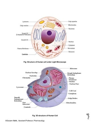 ©Goutam Mallik, Assistant Professor, Pharmacology
Page
6
Fig: Structure of Human cell under Light Microscope
Fig: 3D structure of Human Cell
 