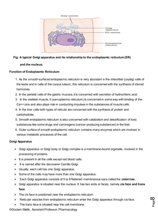 ©Goutam Mallik, Assistant Professor, Pharmacology
Page
8
Fig: A typical Golgi apparatus and its relationship to the endoplasmic reticulum (ER)
and the nucleus.
Function of Endoplasmic Reticulum
1. As the smooth-surfaced endoplasmic reticulum is very abundant in the interstitial (Leydig) cells of
the testis and in cells of the corpus luteum, this reticulum is concerned with the synthesis of steroid
hormones.
2. In the parietal cells of the gastric mucosa, it is concerned with secretion of hydrochloric acid.
3. In the skeletal muscle, it (sarcoplasmic reticulum) is concerned in some way with binding of the
Ca++ ions and also plays role in conducting impulses in the substances of muscle cells.
4. In the liver cells both types of reticula are concerned with the synthesis of protein and
carbohydrate.
5. Smooth endoplasmic reticulum is also concerned with catabolism and detoxification of toxic
substances like some drugs and carcinogens (cancer-producing substances) in the liver.
6. Outer surface of smooth endoplasmic reticulum contains many enzymes which are involved in
various metabolic processes of the cell.
Golgi Apparatus
 Golgi apparatus or Golgi body or Golgi complex is a membrane-bound organelle, involved in the
processing of proteins.
 It is present in all the cells except red blood cells.
 It is named after the discoverer Camillo Golgi.
 Usually, each cell has one Golgi apparatus.
 Some of the cells may have more than one Golgi apparatus.
 Each Golgi apparatus consists of 5 to 8 flattened membranous sacs called the cisternae.
 Golgi apparatus is situated near the nucleus. It has two ends or faces, namely cis face and trans
face.
 The cis face is positioned near the endoplasmic reticulum.
 Reticular vesicles from endoplasmic reticulum enter the Golgi apparatus through cis face.
 The trans face is situated near the cell membrane.
 