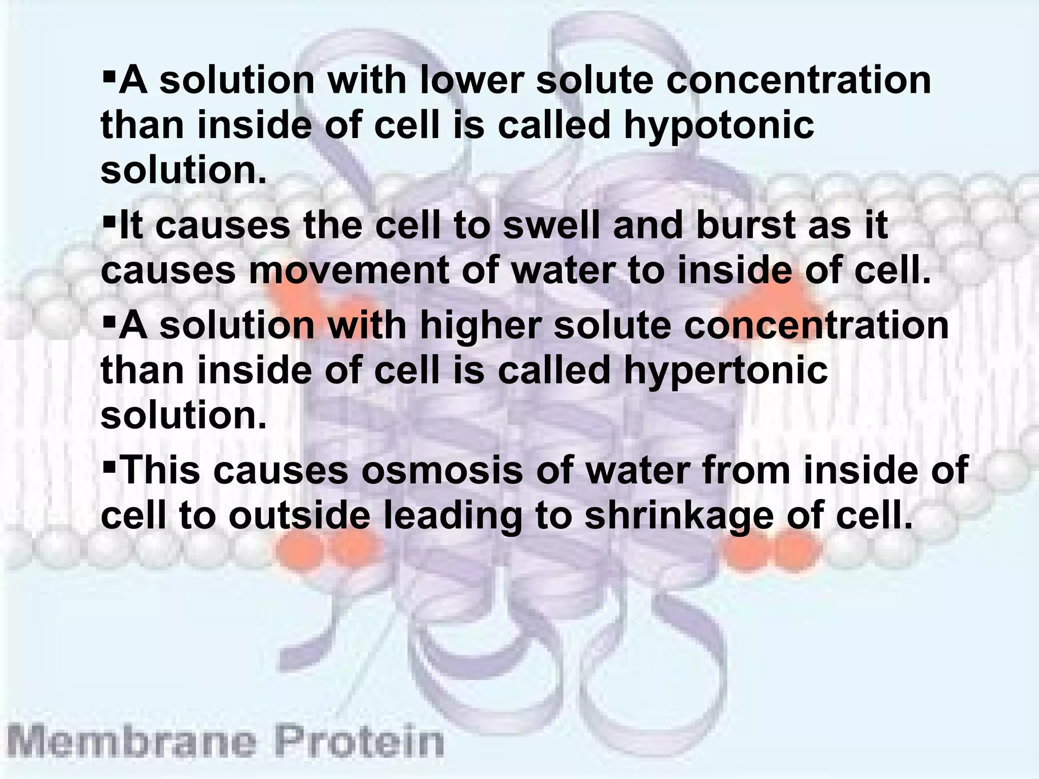 Structure & function of cell membrane | PPT