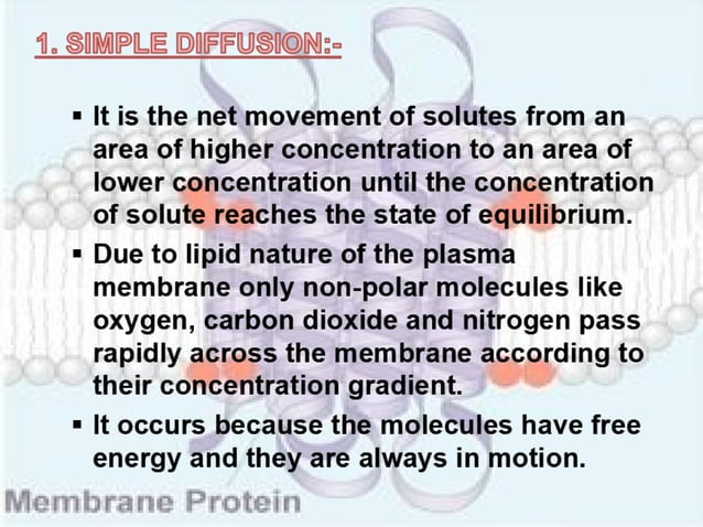 Structure & function of cell membrane | PPT | Biological Sciences | Science