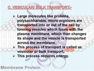 Structure & function of cell membrane | PPT