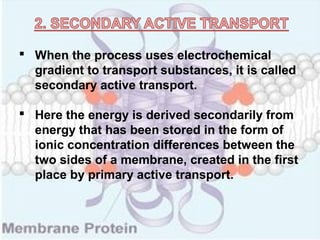  When the process uses electrochemical
gradient to transport substances, it is called
secondary active transport.
 Here the energy is derived secondarily from
energy that has been stored in the form of
ionic concentration differences between the
two sides of a membrane, created in the first
place by primary active transport.
 