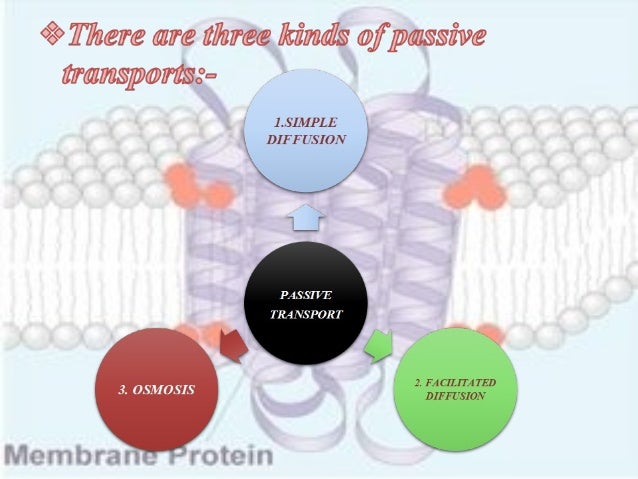 Ppt Unit 2 Part 1 Cell Structure And Function Membrane