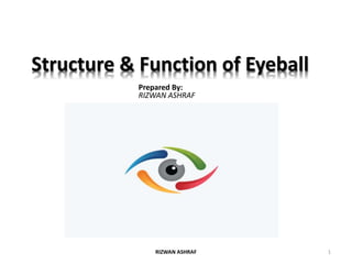 Structure & Function of Eyeball
Prepared By:
RIZWAN ASHRAF
RIZWAN ASHRAF 1
 