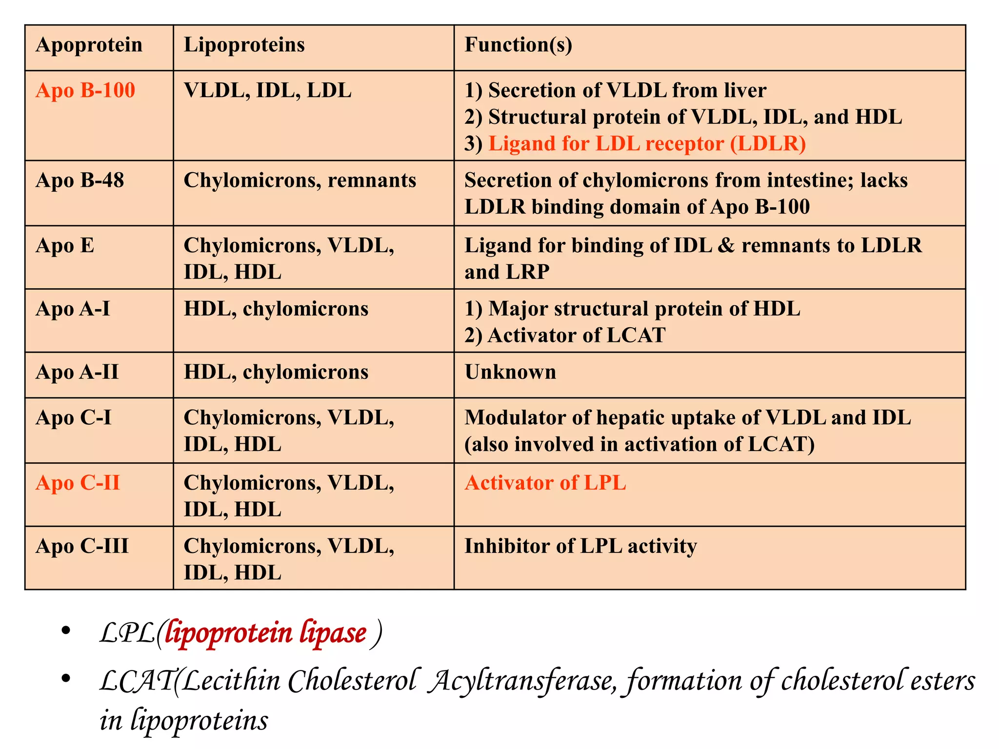 • LPL(lipoprotein lipase )
• LCAT(Lecithin Cholesterol Acyltransferase, formation of cholesterol esters
in lipoproteins
Apoprotein Lipoproteins Function(s)
Apo B-100 VLDL, IDL, LDL 1) Secretion of VLDL from liver
2) Structural protein of VLDL, IDL, and HDL
3) Ligand for LDL receptor (LDLR)
Apo B-48 Chylomicrons, remnants Secretion of chylomicrons from intestine; lacks
LDLR binding domain of Apo B-100
Apo E Chylomicrons, VLDL,
IDL, HDL
Ligand for binding of IDL & remnants to LDLR
and LRP
Apo A-I HDL, chylomicrons 1) Major structural protein of HDL
2) Activator of LCAT
Apo A-II HDL, chylomicrons Unknown
Apo C-I Chylomicrons, VLDL,
IDL, HDL
Modulator of hepatic uptake of VLDL and IDL
(also involved in activation of LCAT)
Apo C-II Chylomicrons, VLDL,
IDL, HDL
Activator of LPL
Apo C-III Chylomicrons, VLDL,
IDL, HDL
Inhibitor of LPL activity
 