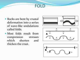 FOLD
 Rocks are bent by crustal
deformation into a series
of wave-like undulations
called folds.
 Most folds result from
compression stresses
which shorten and
thicken the crust.
 