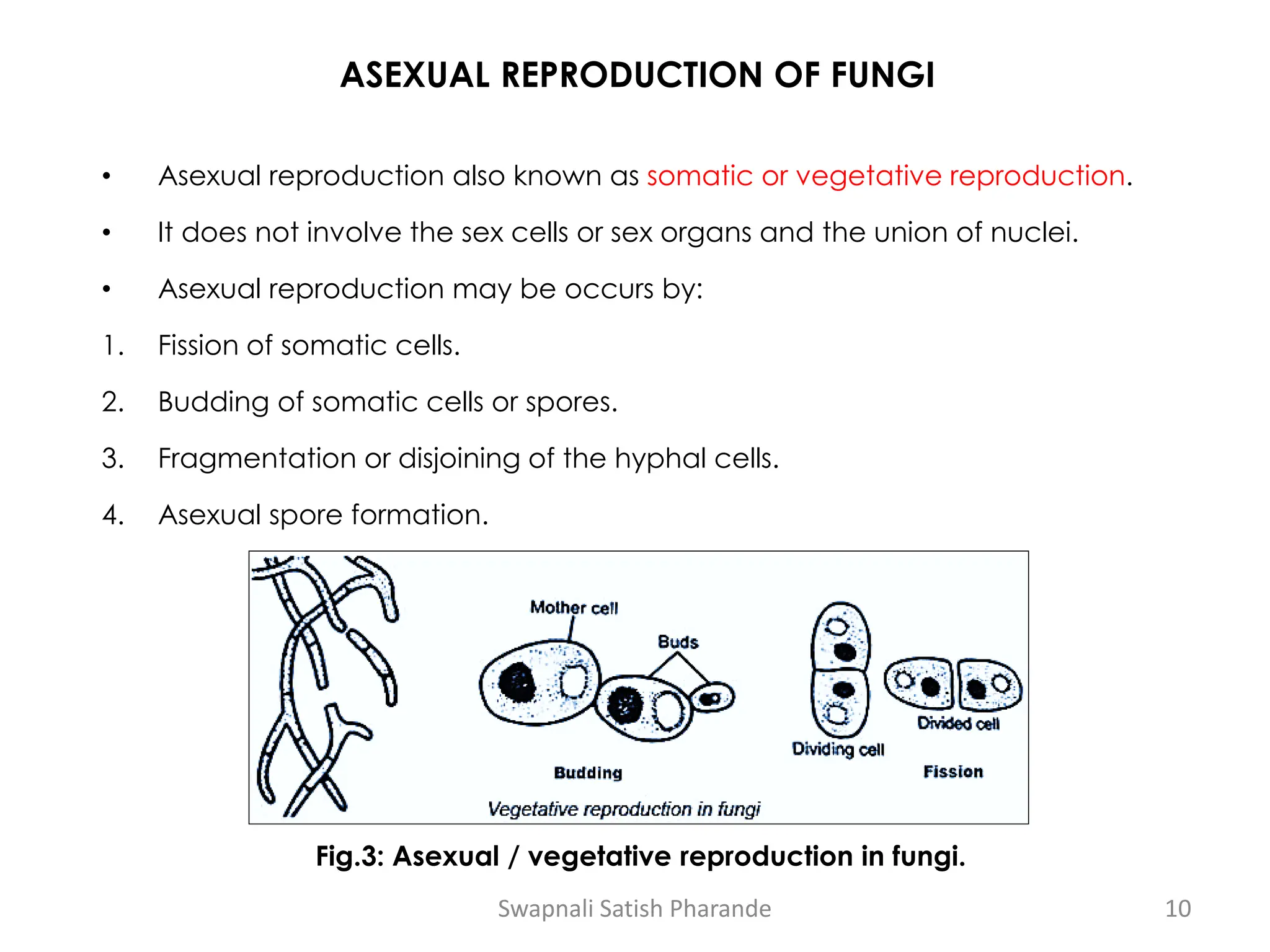 ASEXUAL REPRODUCTION OF FUNGI
• Asexual reproduction also known as somatic or vegetative reproduction.
• It does not involve the sex cells or sex organs and the union of nuclei.
• Asexual reproduction may be occurs by:
1. Fission of somatic cells.
2. Budding of somatic cells or spores.
3. Fragmentation or disjoining of the hyphal cells.
4. Asexual spore formation.
Swapnali Satish Pharande 10
Fig.3: Asexual / vegetative reproduction in fungi.
 