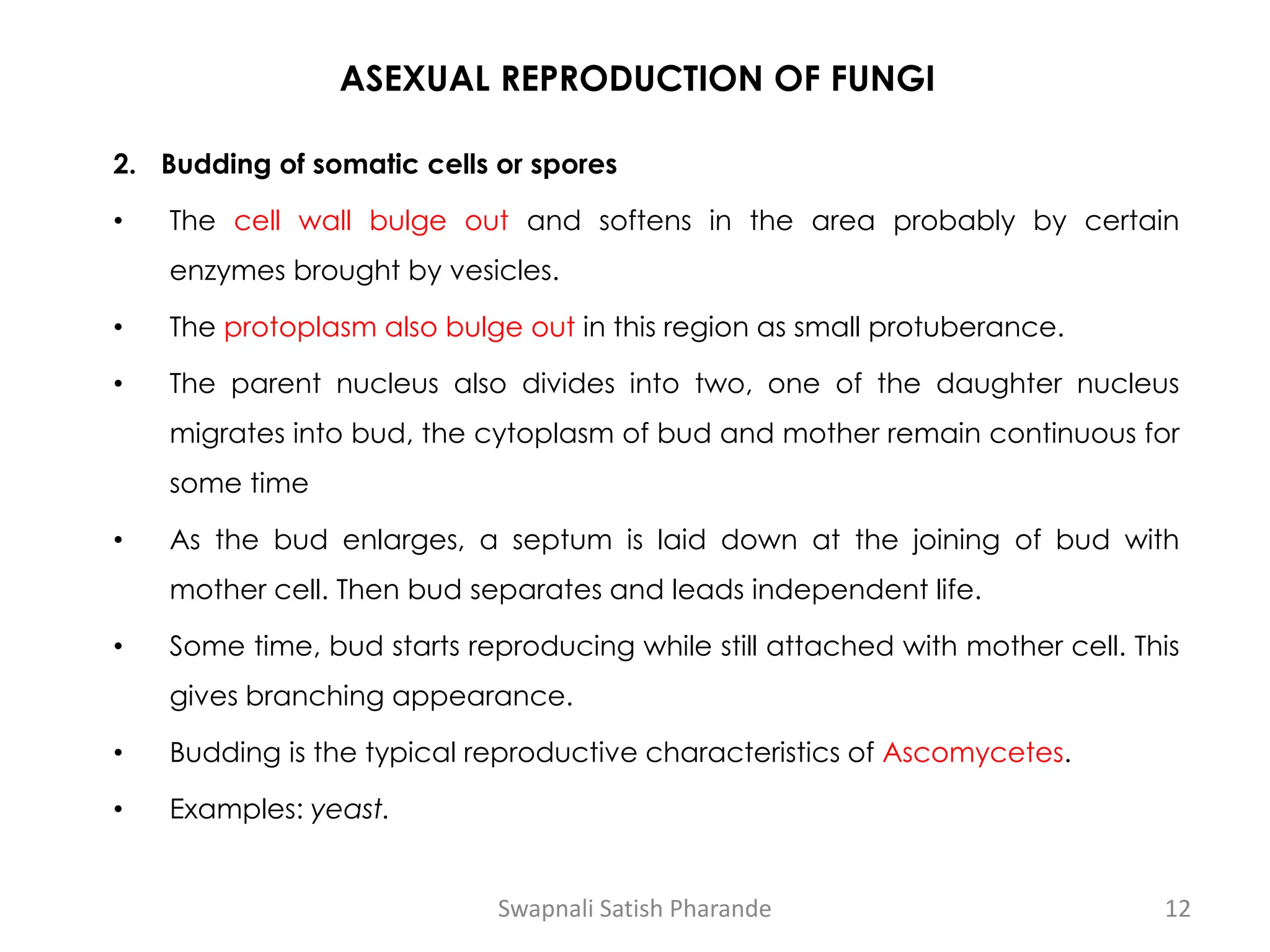 ASEXUAL REPRODUCTION OF FUNGI
2. Budding of somatic cells or spores
• The cell wall bulge out and softens in the area probably by certain
enzymes brought by vesicles.
• The protoplasm also bulge out in this region as small protuberance.
• The parent nucleus also divides into two, one of the daughter nucleus
migrates into bud, the cytoplasm of bud and mother remain continuous for
some time
• As the bud enlarges, a septum is laid down at the joining of bud with
mother cell. Then bud separates and leads independent life.
• Some time, bud starts reproducing while still attached with mother cell. This
gives branching appearance.
• Budding is the typical reproductive characteristics of Ascomycetes.
• Examples: yeast.
Swapnali Satish Pharande 12
 
