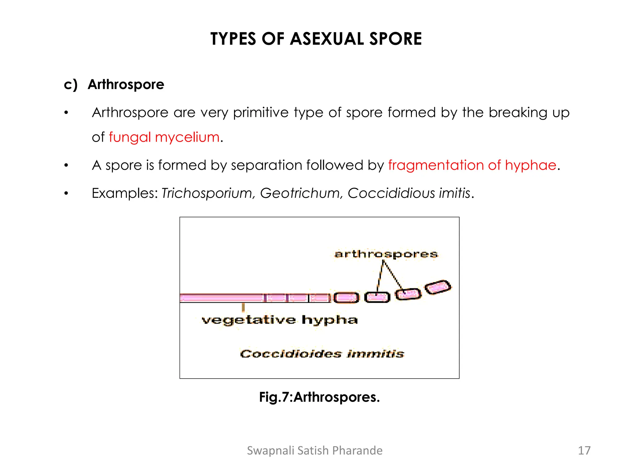 TYPES OF ASEXUAL SPORE
c) Arthrospore
• Arthrospore are very primitive type of spore formed by the breaking up
of fungal mycelium.
• A spore is formed by separation followed by fragmentation of hyphae.
• Examples: Trichosporium, Geotrichum, Coccididious imitis.
Fig.7:Arthrospores.
Swapnali Satish Pharande 17
 