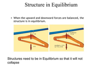 Structure in Equilibrium

  • When the upward and downward forces are balanced, the
    structure is in equilibrium.




Structures need to be in Equilibrium so that it will not
collapse
 