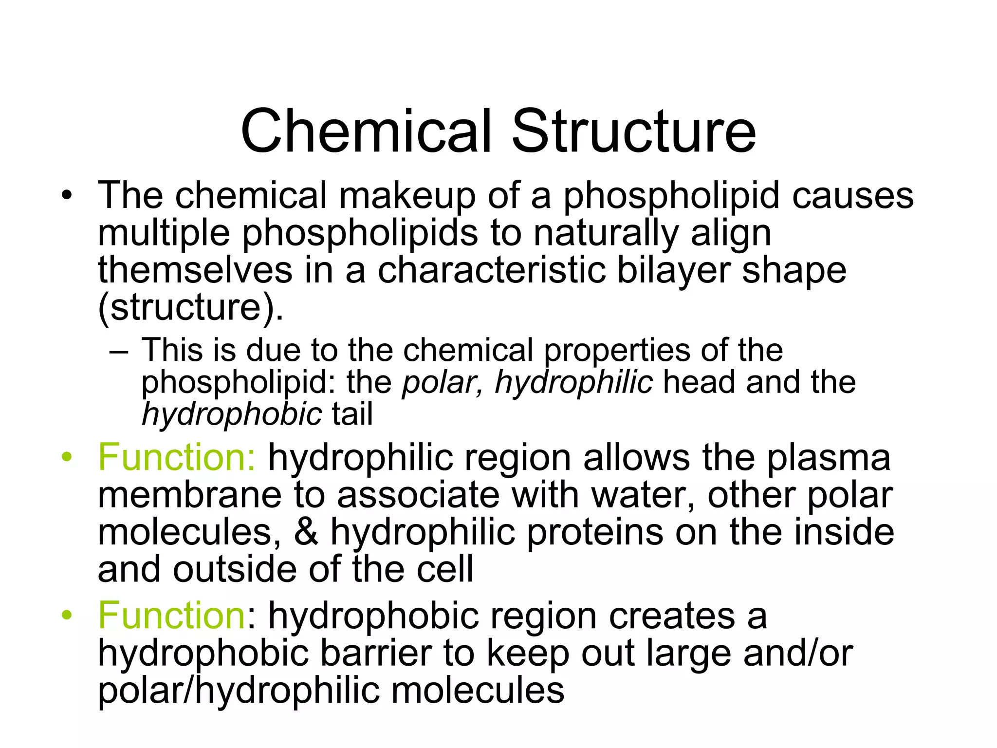 Chemical StructureThe chemical makeup of a phospholipid causes multiple phospholipids to naturally align themselves in a characteristic bilayer shape (structure).This is due to the chemical properties of the phospholipid: the polar,hydrophilic head and the hydrophobic tailFunction: hydrophilic region allows the plasma membrane to associate with water, other polar molecules, & hydrophilic proteins on the inside and outside of the cell Function: hydrophobic region creates a hydrophobic barrier to keep out large and/or polar/hydrophilic molecules