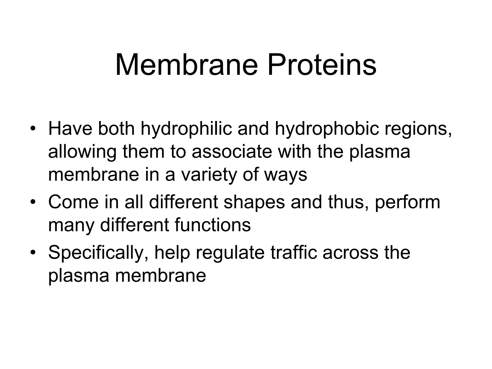Membrane ProteinsHave both hydrophilic and hydrophobic regions, allowing them to associate with the plasma membrane in a variety of waysCome in all different shapes and thus, perform many different functionsSpecifically, help regulate traffic across the plasma membrane