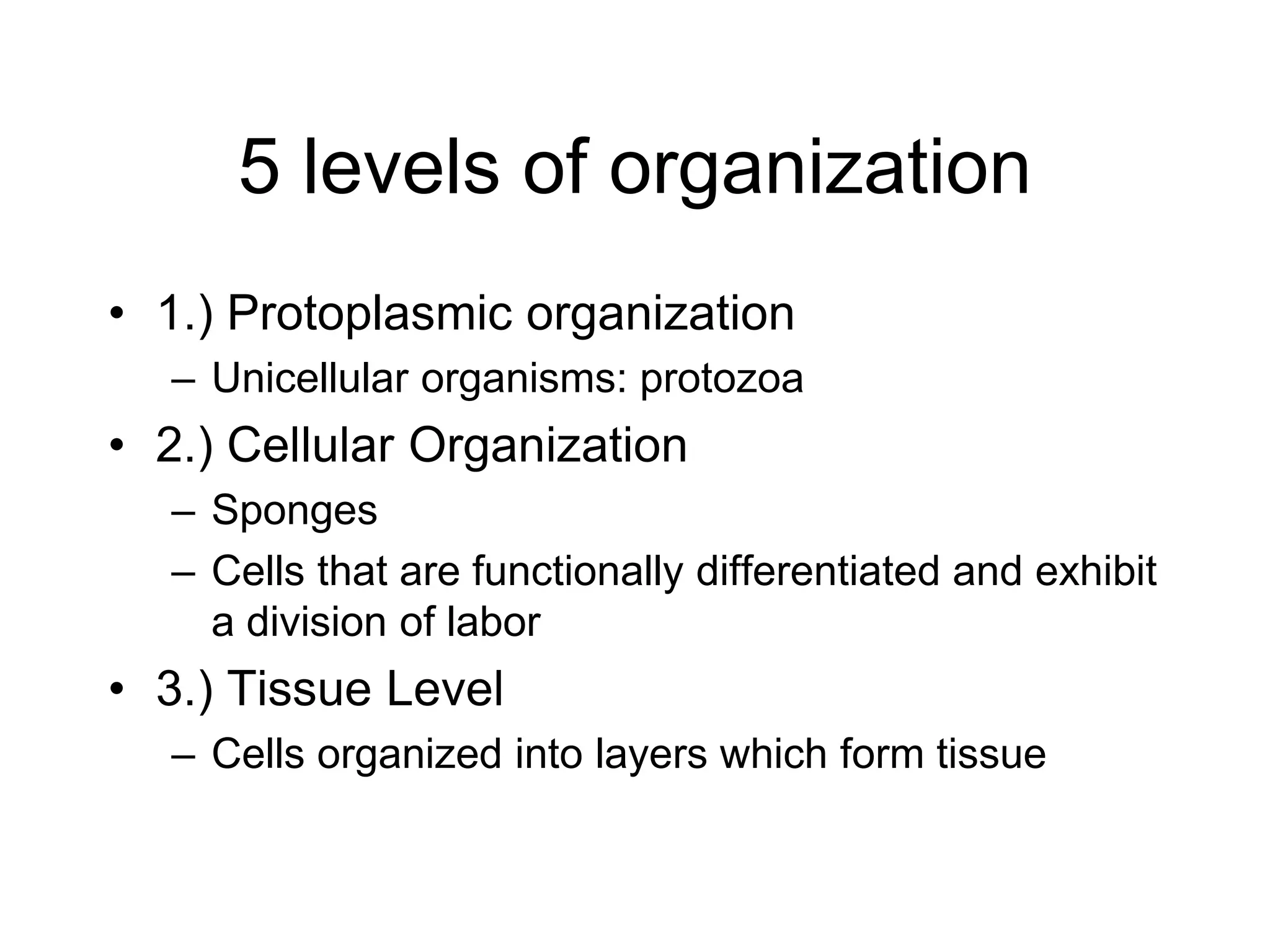 5 levels of organization1.) Protoplasmic organization Unicellular organisms: protozoa 2.) Cellular Organization Sponges Cells that are functionally differentiated and exhibit a division of labor 3.) Tissue LevelCells organized into layers which form tissue