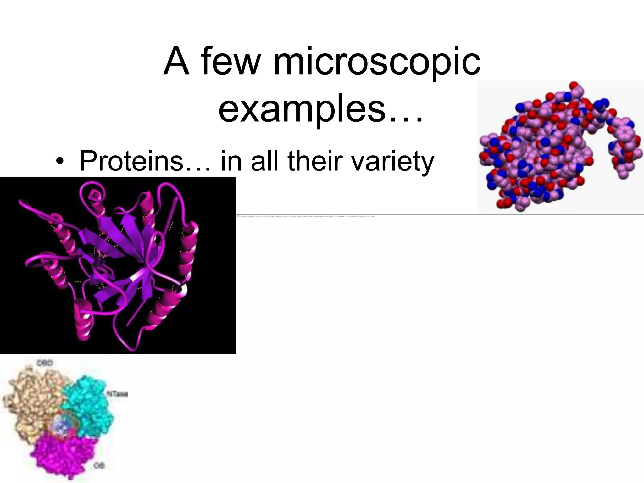 A few microscopic examples…Proteins… in all their variety