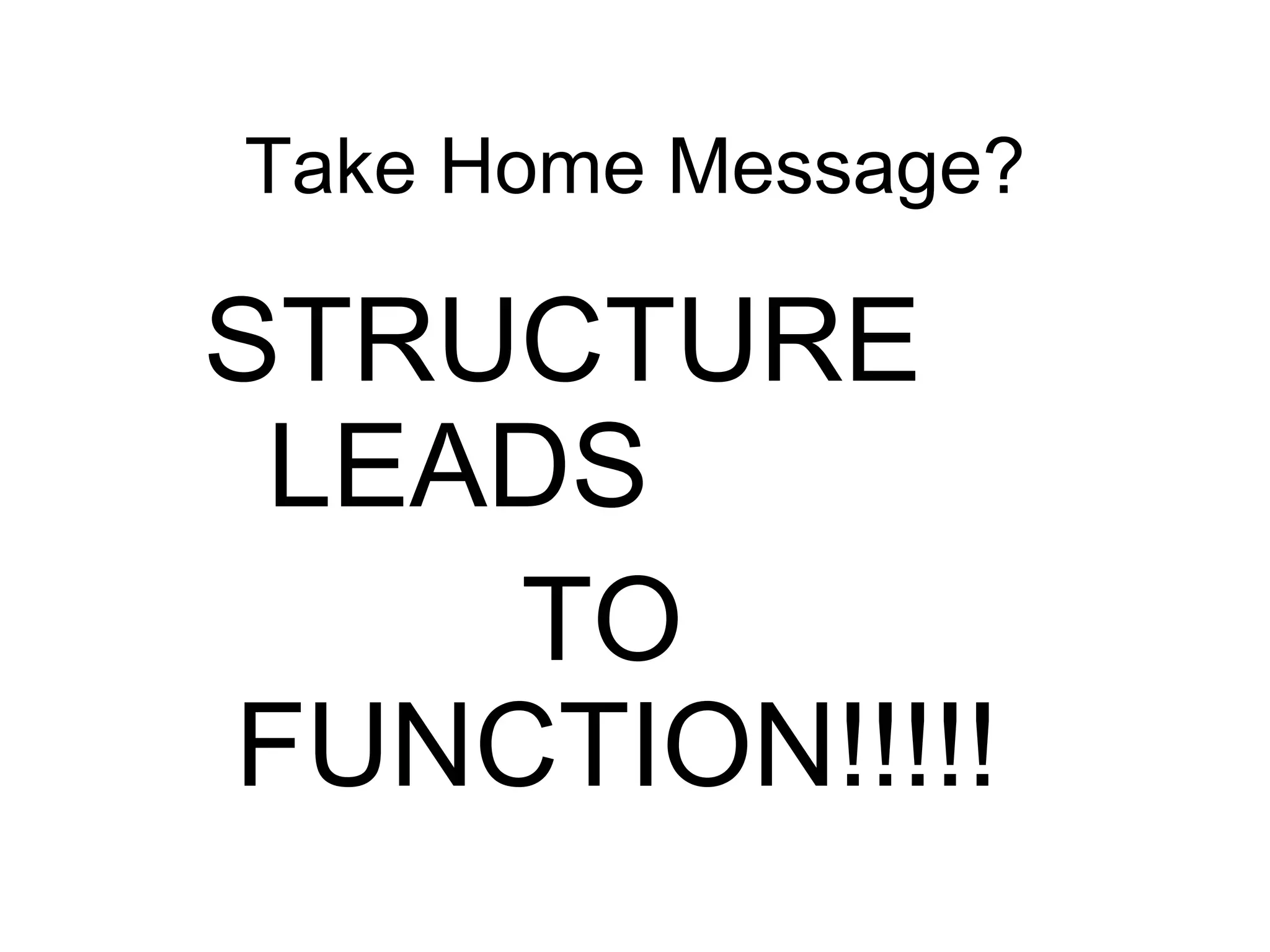 Take Home Message?STRUCTURE 			 LEADS       		 TO 	 	FUNCTION!!!!!