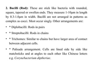 Comprehensive Classification and Morphology of Microorganisms | PPTX