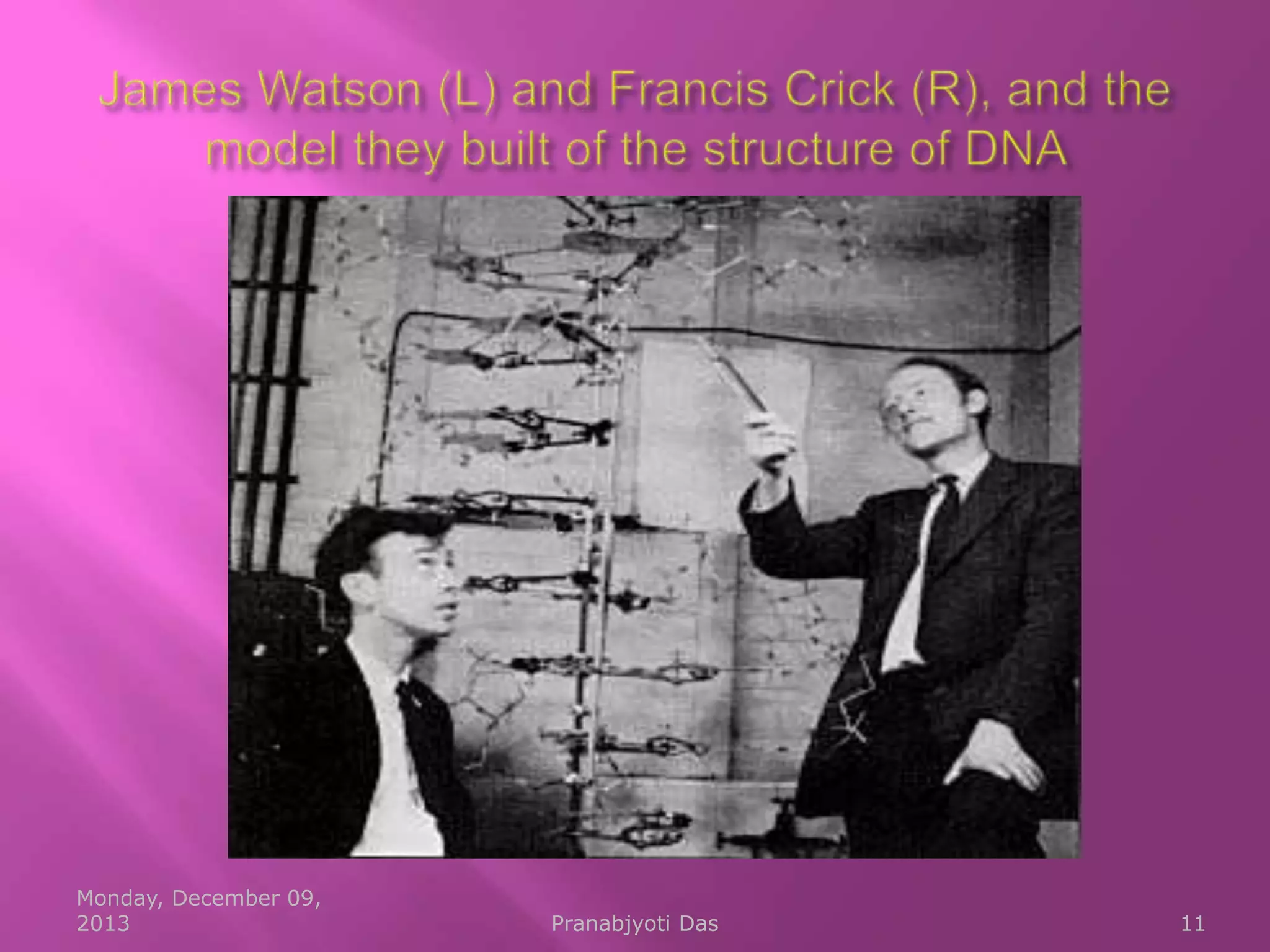 Monday, December 09,
2013

Pranabjyoti Das

11

 