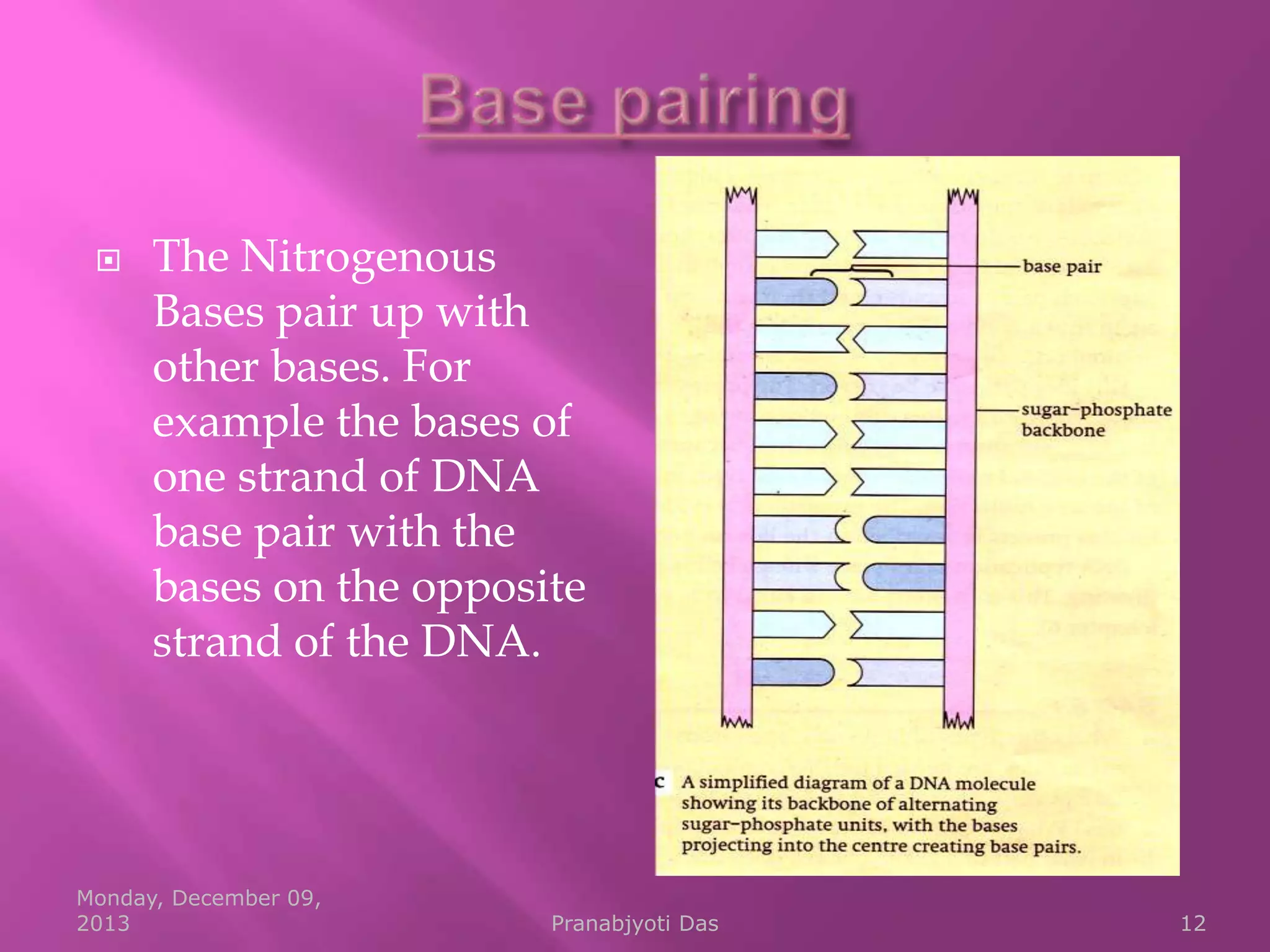 

The Nitrogenous
Bases pair up with
other bases. For
example the bases of
one strand of DNA
base pair with the
bases on the opposite
strand of the DNA.

Monday, December 09,
2013

Pranabjyoti Das

12

 