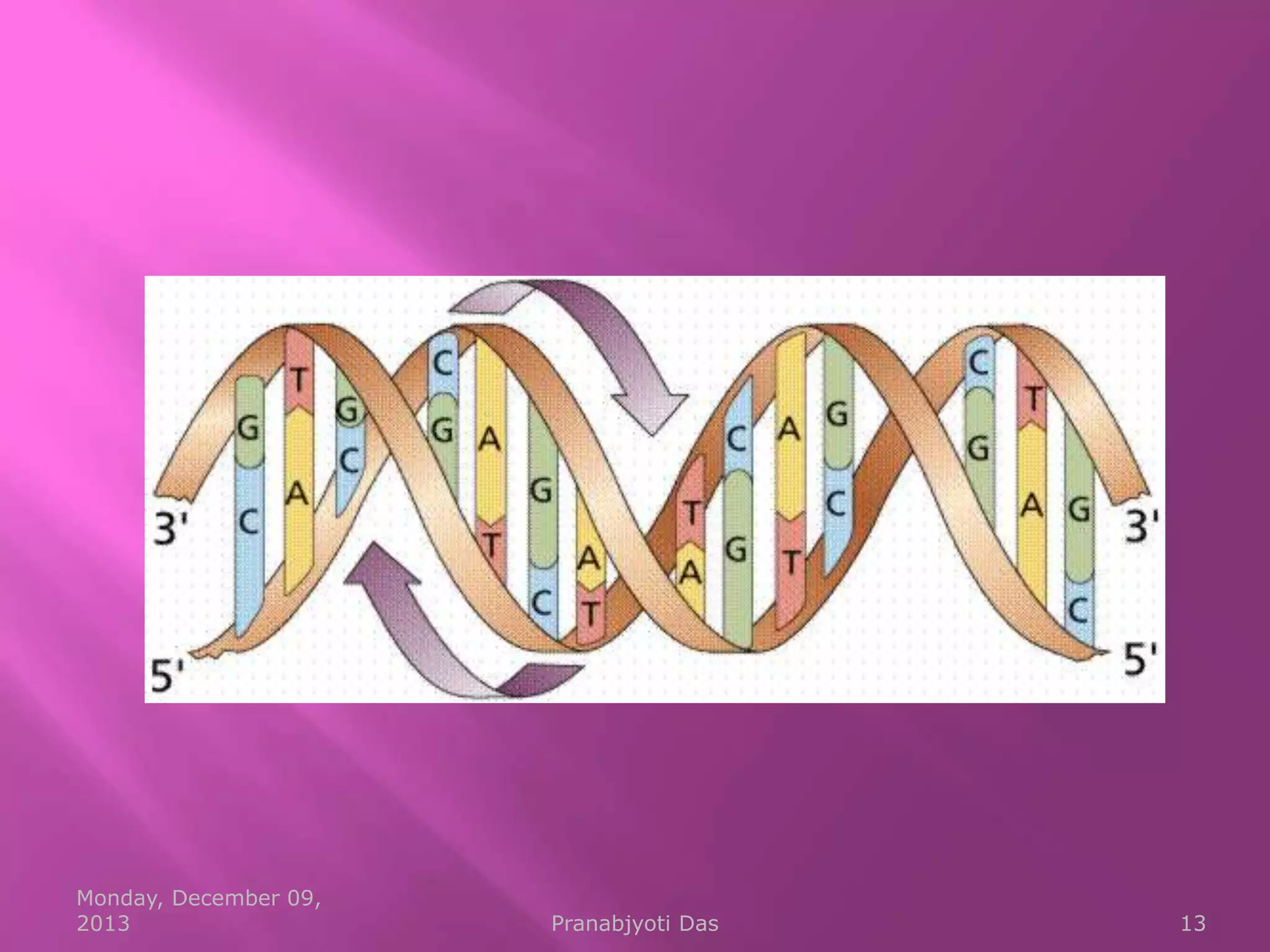 Monday, December 09,
2013

Pranabjyoti Das

13

 