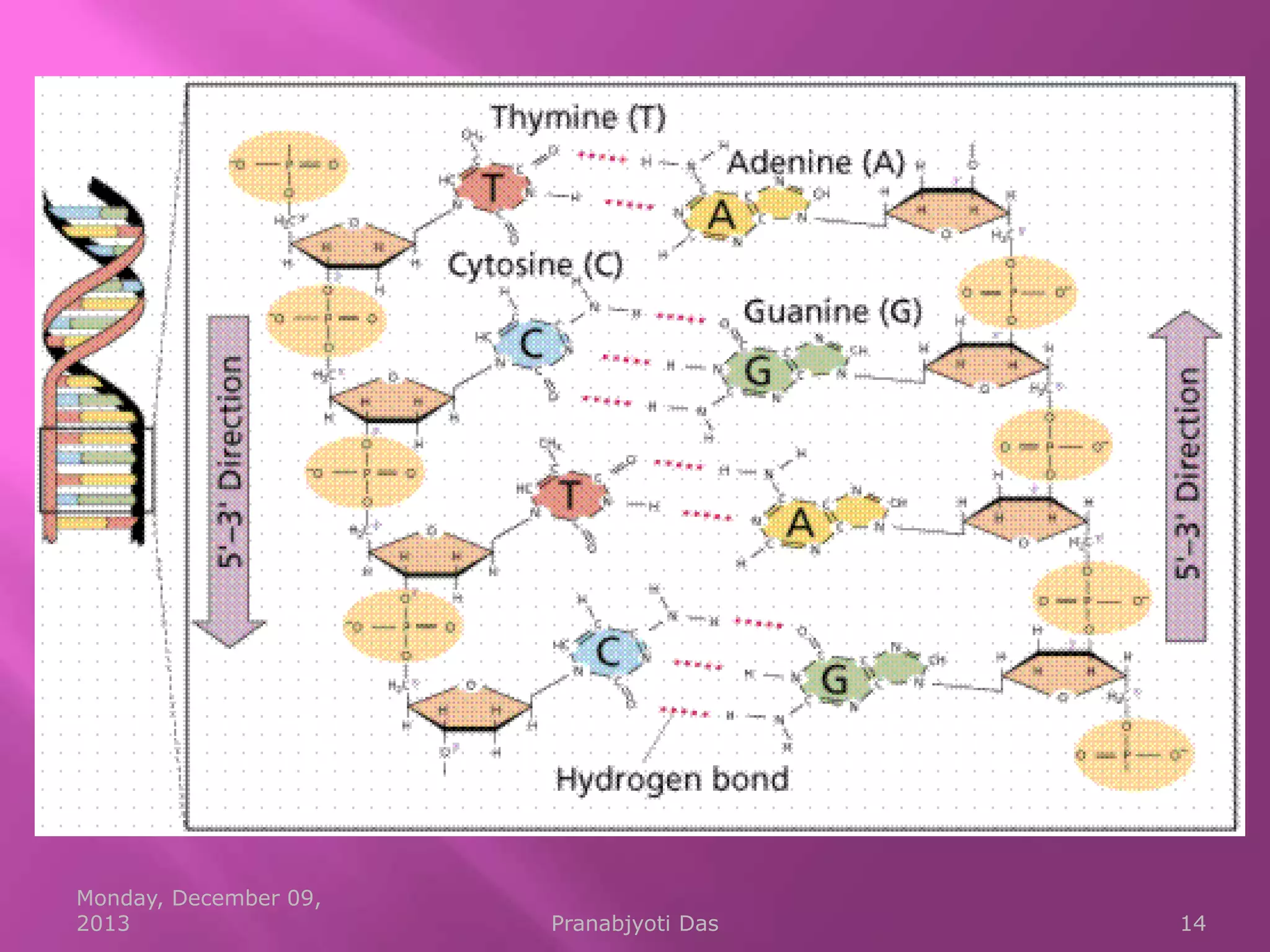 Monday, December 09,
2013

Pranabjyoti Das

14

 