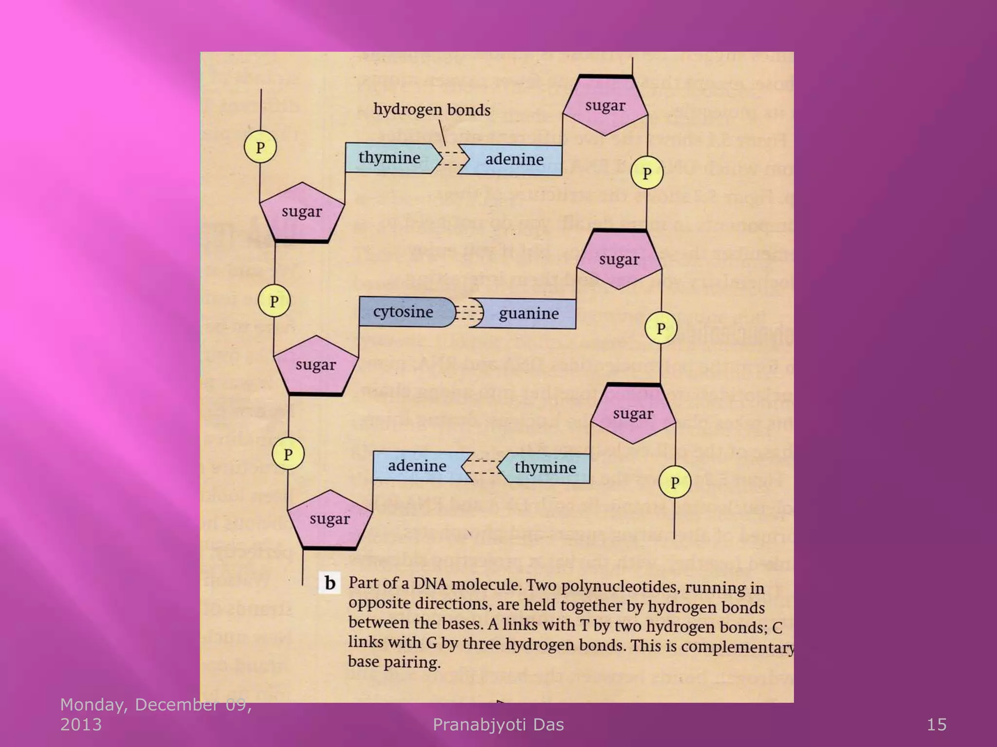 Monday, December 09,
2013

Pranabjyoti Das

15

 