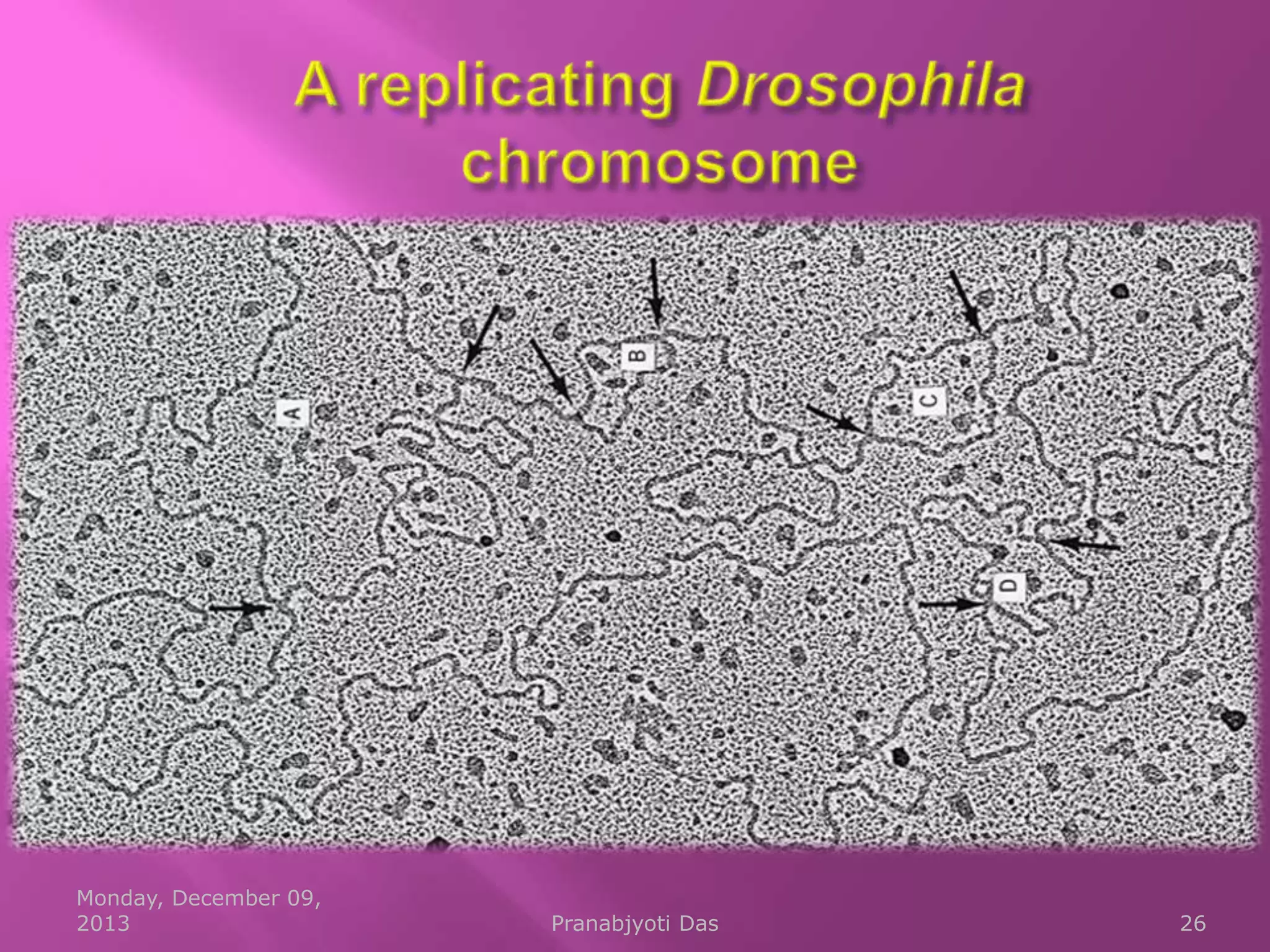 Monday, December 09,
2013

Pranabjyoti Das

26

 