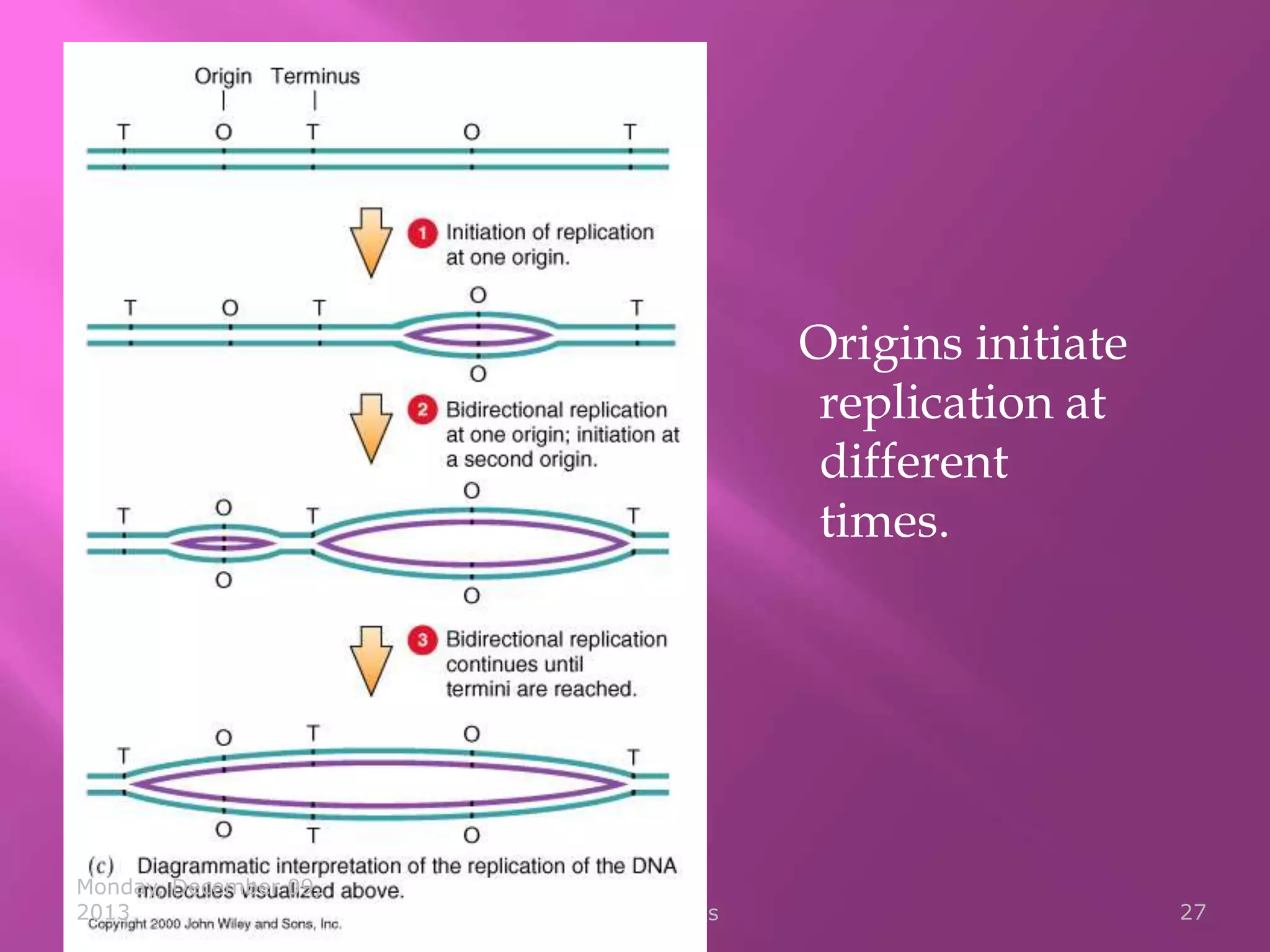 Origins initiate
replication at
different
times.

Monday, December 09,
2013

Pranabjyoti Das

27

 