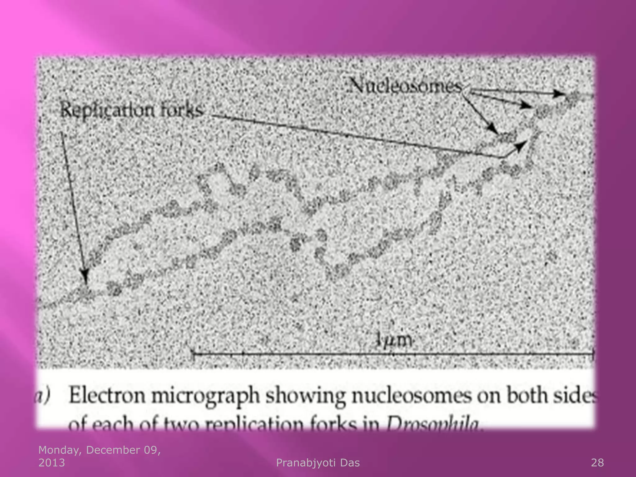 Monday, December 09,
2013

Pranabjyoti Das

28

 