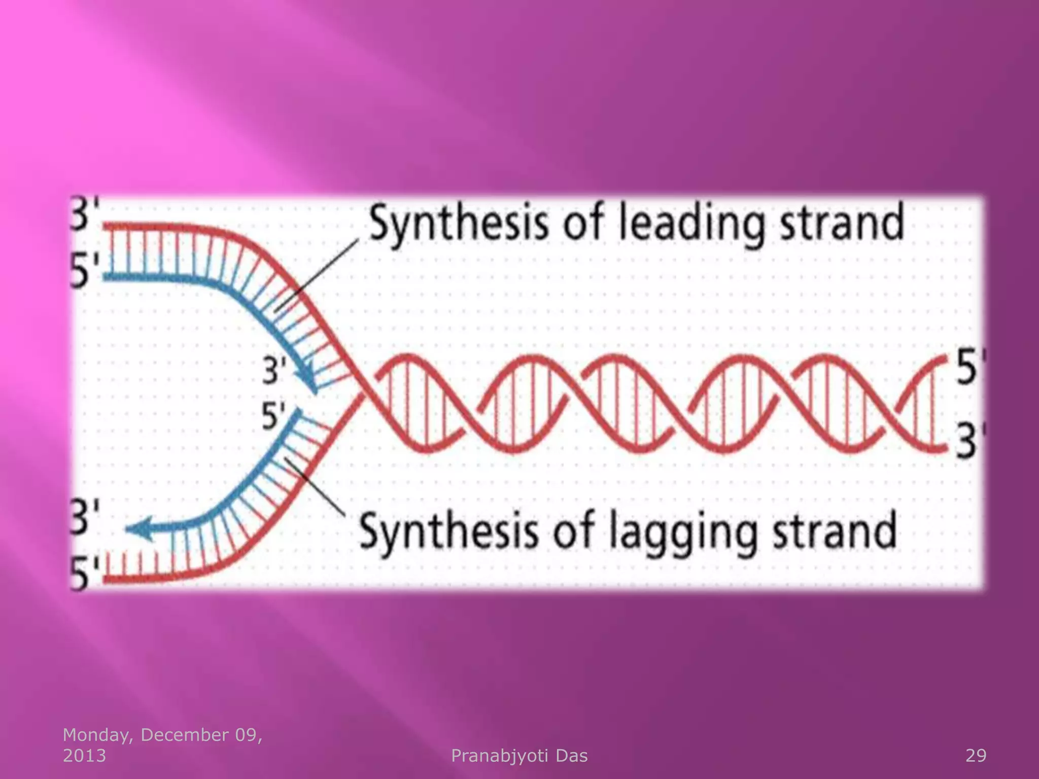 Monday, December 09,
2013

Pranabjyoti Das

29

 